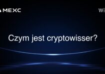 Czym jest cryptowisser?