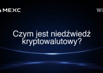 Czym jest niedźwiedź kryptowalutowy?