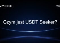 Czym jest USDT seeker?