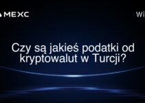 Czy są jakieś podatki od kryptowalut w Turcji?