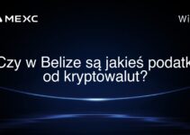 Czy w Belize są jakieś podatki od kryptowalut?