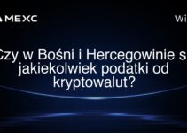 Czy w Bośni i Hercegowinie są jakiekolwiek podatki od kryptowalut?