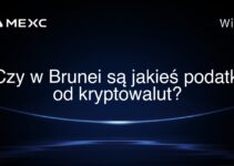 Czy w Brunei są jakieś podatki od kryptowalut?