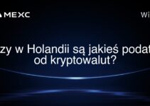 Czy w Holandii są jakieś podatki od kryptowalut?