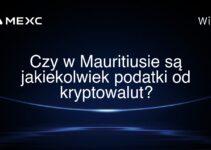 Czy w Mauritiusie są jakiekolwiek podatki od kryptowalut?