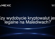 Czy wydobycie kryptowalut jest legalne na Malediwach?