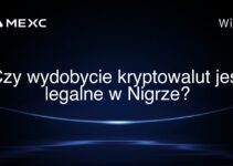 Czy wydobycie kryptowalut jest legalne w Nigrze?