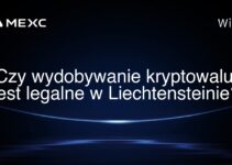 Czy wydobywanie kryptowalut jest legalne w Liechtensteinie?