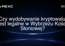 Czy wydobywanie kryptowalut jest legalne w Wybrzeżu Kości Słoniowej?