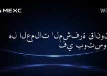 هل العملات المشفرة قانونية في بوتسوانا؟