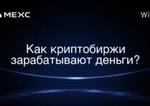 Как криптобиржи зарабатывают деньги?