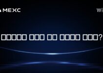 솔라나에는 얼마나 많은 검증자가 있나요?