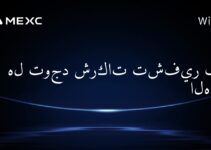هل توجد شركات تشفير في الهند؟