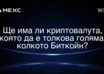 Ще има ли криптовалута, която да е толкова голяма, колкото Биткойн?