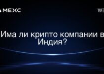 Има ли крипто компании в Индия?