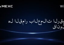 هل القمار بالعملات الرقمية قانوني؟