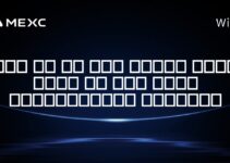 اگر من در سال ۲۰۱۰، ۱۰۰۰ دلار در بیت کوین سرمایه‌گذاری می‌کردم؟