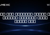 آیا ارز دیجیتال دیگری به اندازه بیت‌کوین بزرگ خواهد شد؟