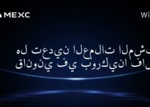 هل تعدين العملات المشفرة قانوني في بوركينا فاسو؟