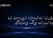 هل تعدين العملات الرقمية قانوني في باربادوس؟