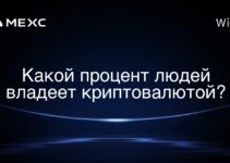 Какой процент людей владеет криптовалютой?