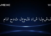 ماذا حدث لعملة داش المشفرة؟