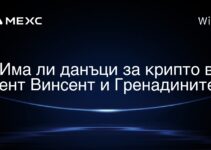 Има ли данъци за крипто в Сент Винсент и Гренадините?