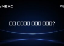 엘론 머스크가 소유한 코인은?