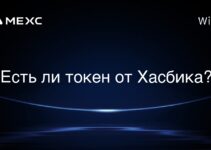 Есть ли токен от Хасбика?