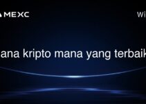 Dana kripto mana yang terbaik?