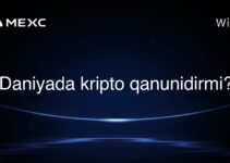Daniyada kripto qanunidirmi?