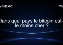Dans quel pays le bitcoin est-il le moins cher ?