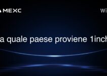 Da quale paese proviene 1inch?