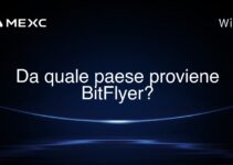 Da quale paese proviene BitFlyer?