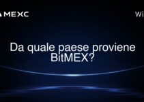 Da quale paese proviene BitMEX?