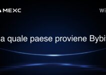 Da quale paese proviene Bybit?