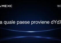 Da quale paese proviene dYdX?