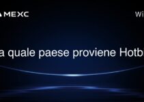 Da quale paese proviene Hotbit?