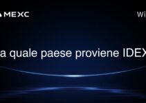 Da quale paese proviene IDEX?