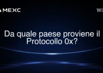 Da quale paese proviene il Protocollo 0x?