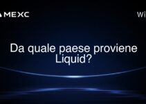 Da quale paese proviene Liquid?