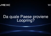 Da quale Paese proviene Loopring?