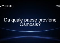 Da quale paese proviene Osmosis?