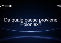 Da quale paese proviene Poloniex?