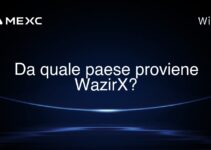 Da quale paese proviene WazirX?