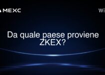 Da quale paese proviene ZKEX?