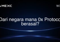 Dari negara mana 0x Protocol berasal?