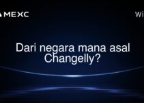 Dari negara mana asal Changelly?