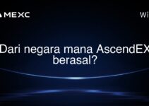Dari negara mana AscendEX berasal?