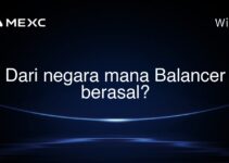 Dari negara mana Balancer berasal?